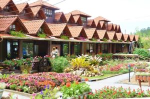 sao martinho fluss house